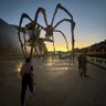 Alan profil fotoğrafı
