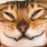 Profilbild von PashyP 🍉