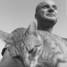 SimchaK©שמחהקופל's profile picture