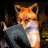 🦊¥@$£R🦊's profile picture