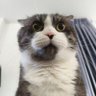 พี่หวยรีวิว profil fotoğrafı