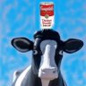 Фото профиля Moodle❤️Soup 🇺🇲