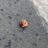 DoubleBaconMotherFucker🇺🇸🥓🥓🦍 的头像
