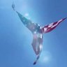 Profilbild von Just an American