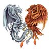 Aaron Wolstenholme's profile picture