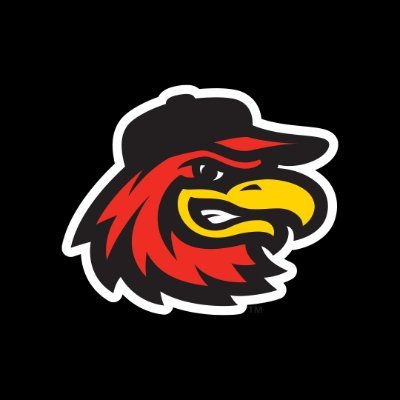 RocRedWings's profile picture