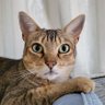 Фото профиля しおり