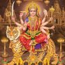 Lakshyavardhan singh Chauhan (मोदी का परिवार )'s profile picture