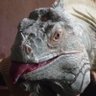 Thag's profile picture