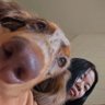wimai 的头像