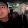 adrian.anima's profile picture