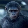 Profilbild von Commentary_of_everything