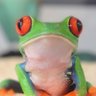 Фото профиля しおん