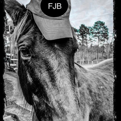 systemiscrumbling's profile picture