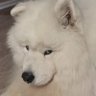 𝙗𝙤𝙧𝙗𝙤𝙧's profile picture