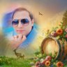 Фото профиля Ayman