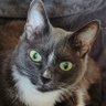 Mikhail Bazlov's profile picture