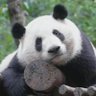人间不值得 的头像