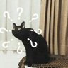 Ryan profil fotoğrafı