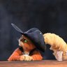 Adam's profile picture