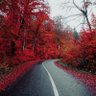 Фото профиля J Campbell
