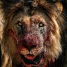 onlyavfc's profile picture