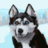 Profilbild von Shams