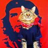 Ghetto's profile picture
