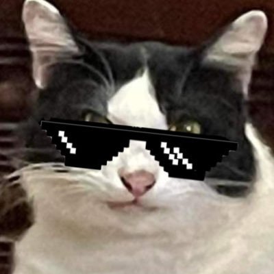 reawjiii's profile picture