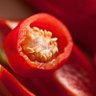 Фото профиля RedChilli...🌶️