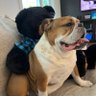 Greg's profile picture