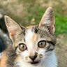 Cetigi's profile picture
