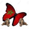 Dynastie millénaire🇲🇦 的头像