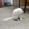 yuhui86929 的头像