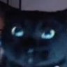 Profilbild von Boo