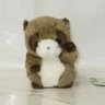 ぬいぐるみのたぬき's profile picture