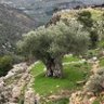 AdamG profil fotoğrafı