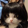 ゴルネ子 profil fotoğrafı