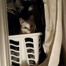 La Lola profil fotoğrafı