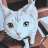 Profilbild von Sunふらわー