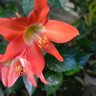 Lyn~ profil fotoğrafı