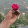 RAJAN KUMAR profil fotoğrafı