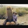Фото профиля Siton Mecactus