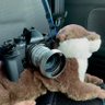 ããã€ã35mm profil fotoÄrafı