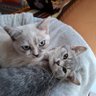 🕹️🧡 profil fotoğrafı