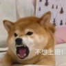 Profilbild von 拎清