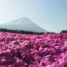 さてそろそろ profil fotoğrafı