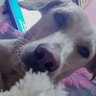 Jassie 的头像