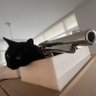 SEJ profil fotoğrafı