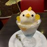 としこりん's profile picture